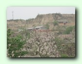 [Klik om een grote afbeelding te zien]